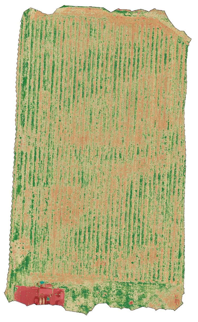 A vineyard block coloured by crop vigor from green to orange.