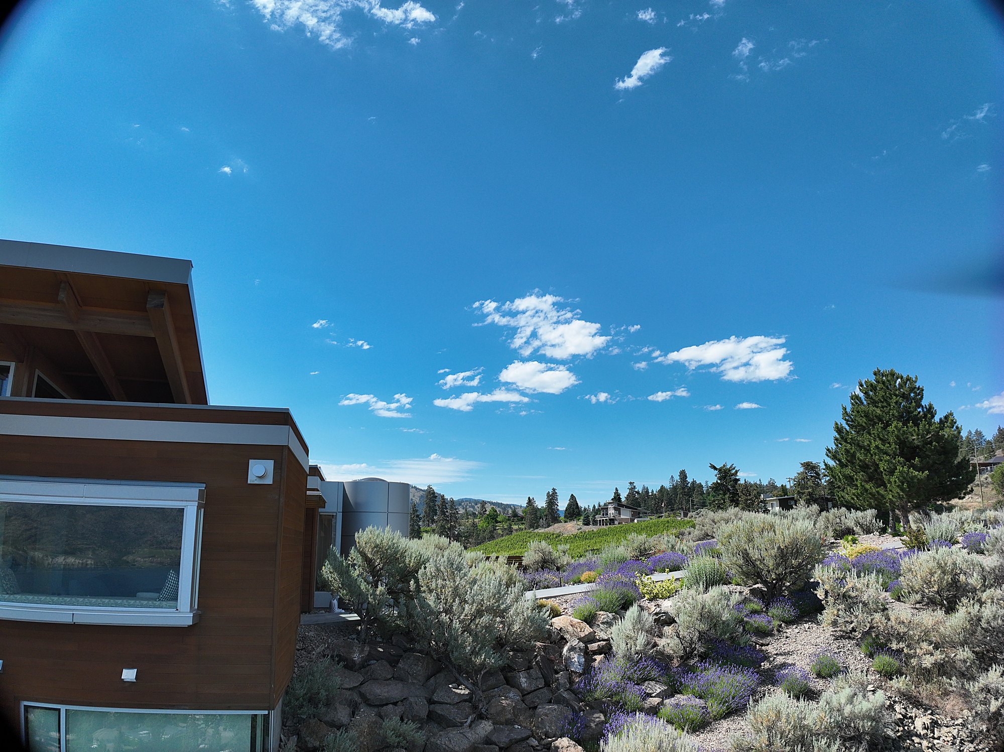 Aerial capture of a modern glass house above the lake, a demonstration capture.