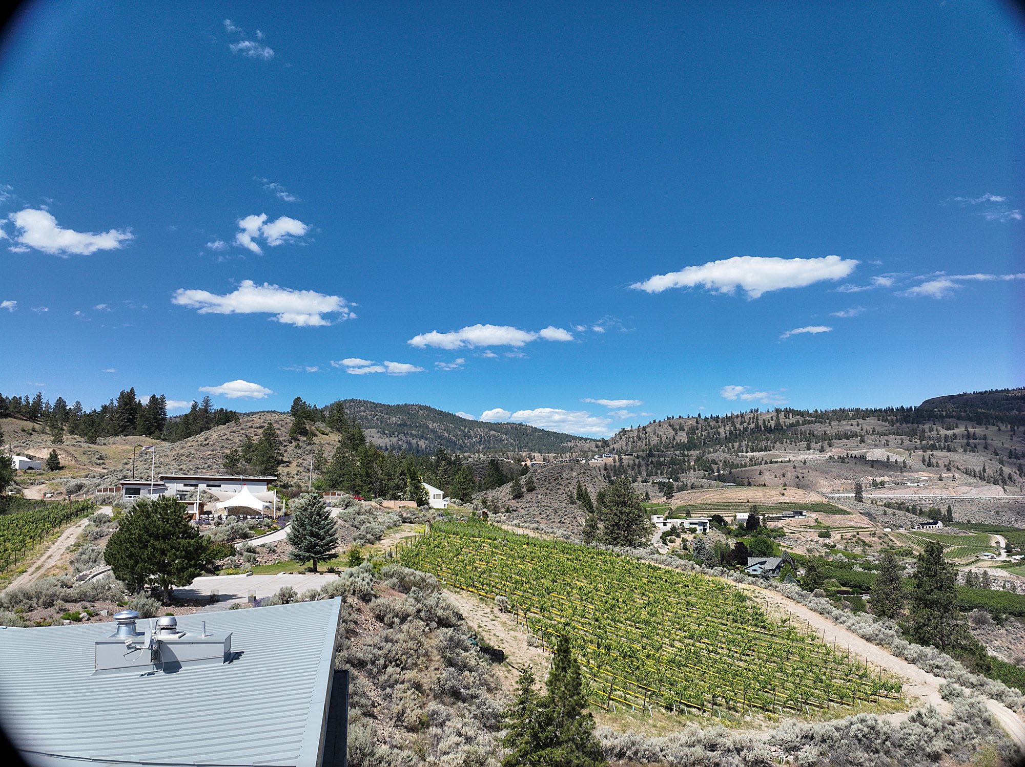 Looking over the roofline of a modern Okanagan home into its vineyard rows and the dry hills beyond, an aerial demonstration capture near Summerland, BC.
