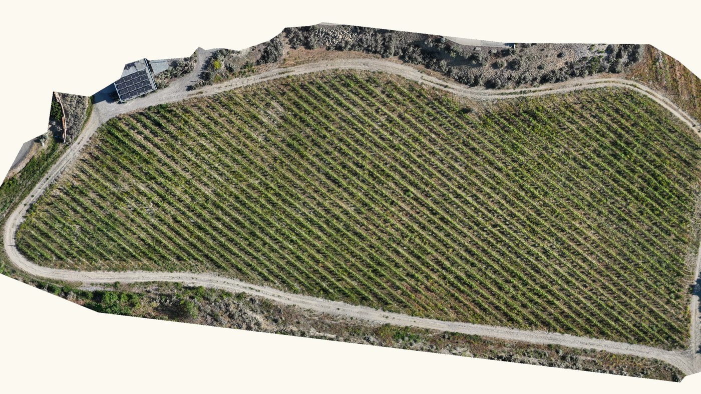 Aerial view of a Summerland vineyard estate rendered from its 3D model, the rows and access roads in crisp detail.