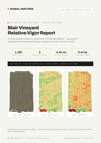 Report page 1: branded cover with capture statistics and three index maps. Activates a larger view.