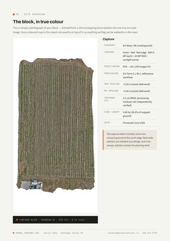 Report page 2: the block in true colour with the full capture specification table. Activates a larger view.
