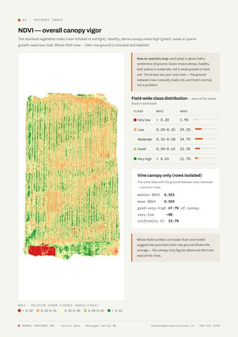 Report page 3: NDVI canopy vigor map with field-wide class distribution table. Activates a larger view.