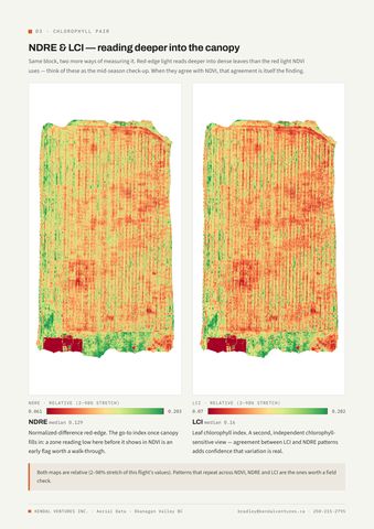 Report page 4: NDRE and LCI chlorophyll index pair. Activates a larger view.