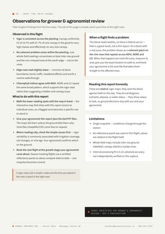 Report page 6: plain-language observations for grower and agronomist review. Activates a larger view.