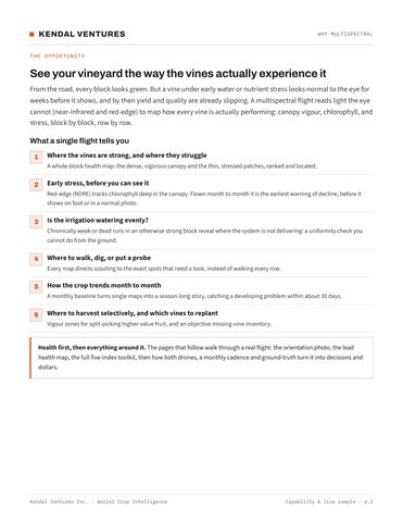 Report page 2, why multispectral: seeing the vineyard the way the vines experience it. Activates a larger view.