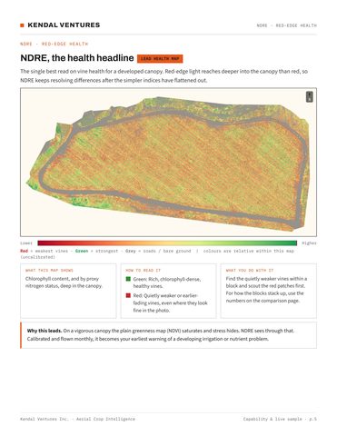 Report page 5, NDRE red-edge map, the lead health read for a developed canopy. Activates a larger view.