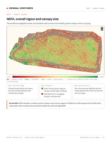 Report page 6, NDVI map of overall relative vigour and canopy size. Activates a larger view.
