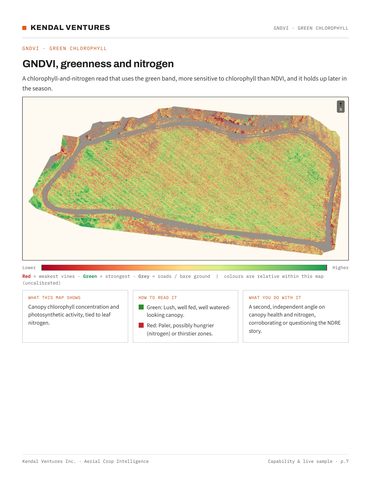 Report page 7, GNDVI greenness and chlorophyll map. Activates a larger view.