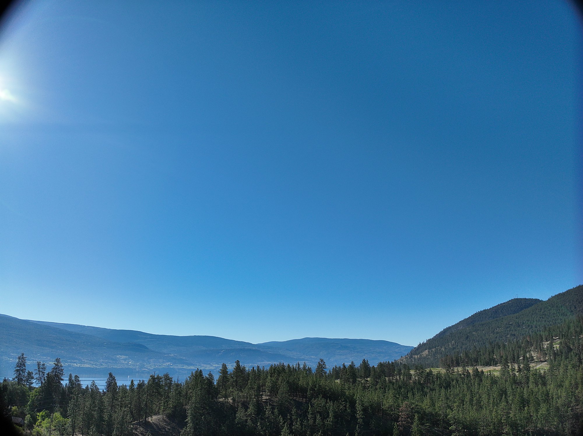 Forested Okanagan hillside from the air, the canopy and terrain a forestry flight maps.