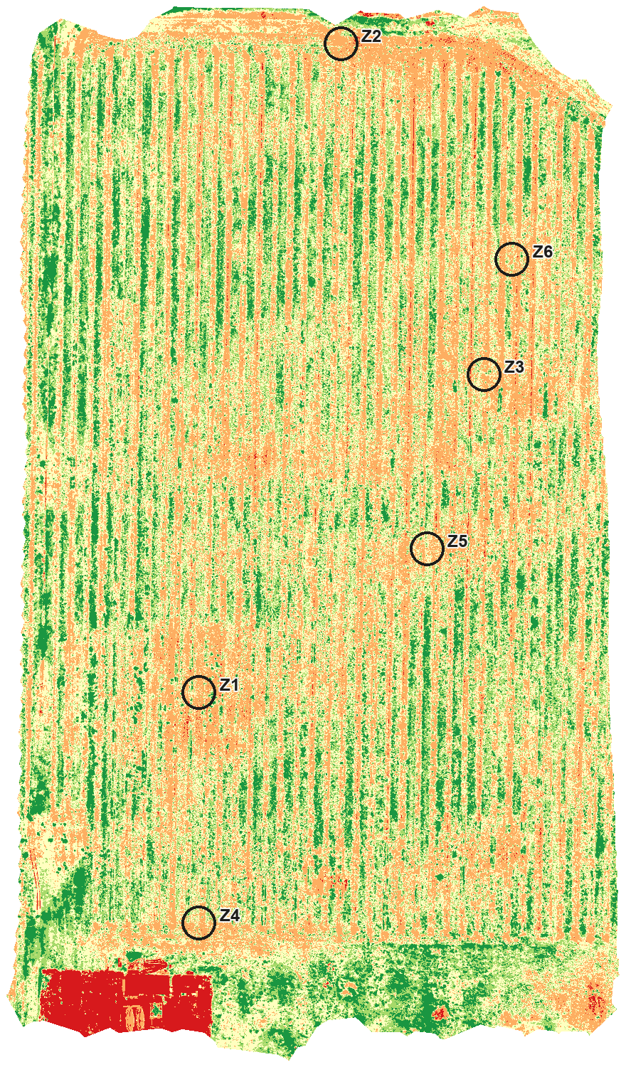 A real month from our own block: vine rows coloured by relative vigor, with the flagged zones marked for a ground walk.