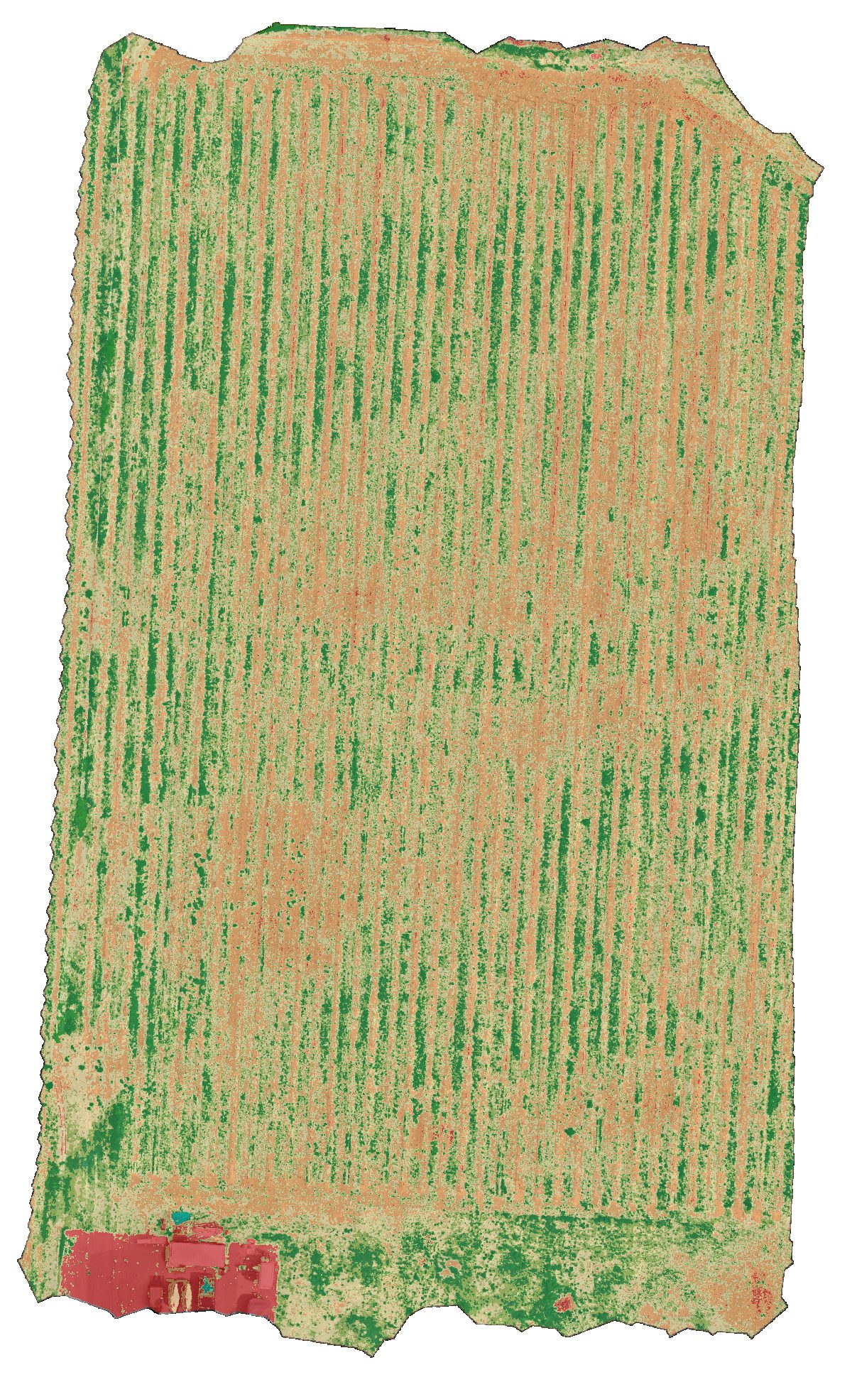 A relative-vigor map of a vineyard: rows coloured from strong green to weak red, the pattern a grower walks with their phone.