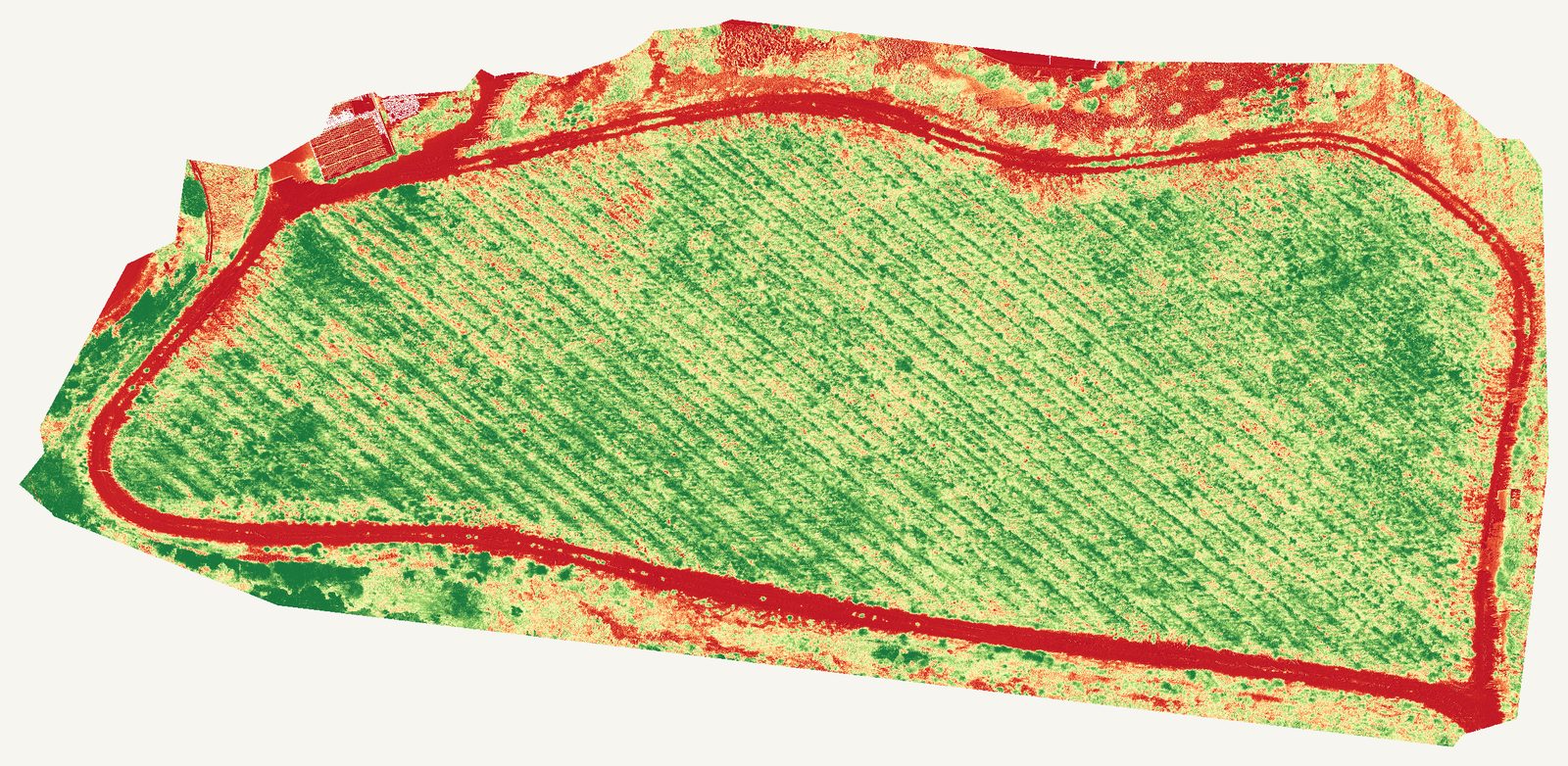 Top-down relative-vigor NDVI map of one vineyard block at a Summerland vineyard: strong green canopy through the centre rows, amber and red bands along the edges and headlands.