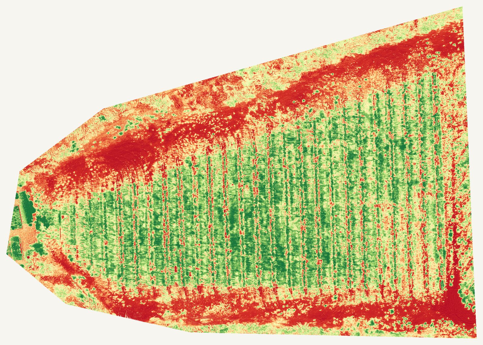 Relative-vigor NDVI map of a second, wedge-shaped vineyard block: a strong green core with red lower-vigor bands along the top and bottom edges.